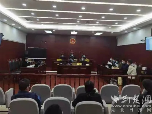 湖北市长出庭应诉，法治进步下的民告官现象探究