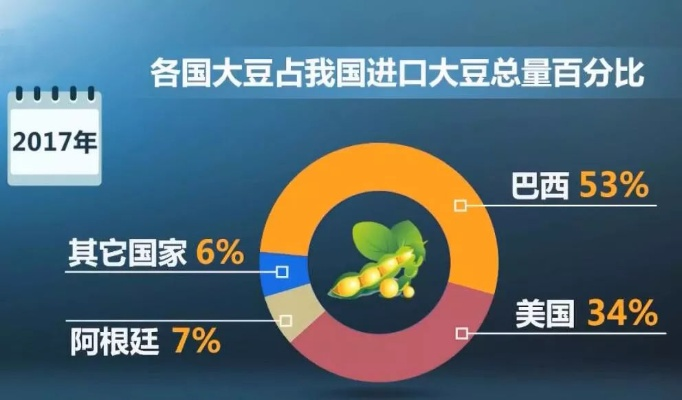 中国近半年未购一粒美国大豆，全球供应链重塑与市场需求变化