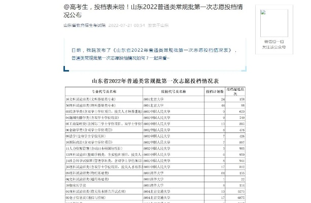 山东省教育招生考试网，学子梦想起航的关键平台