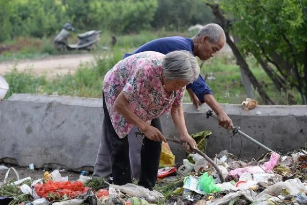 浙大老教师重返垃圾捡拾之路，老伴离世后的第二天故事