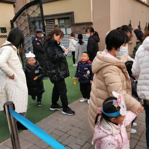 女性独立与生育率下降，专家深度解析原因影响