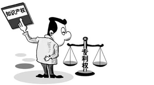 知识产权案例研究，专利侵权纠纷深度解析