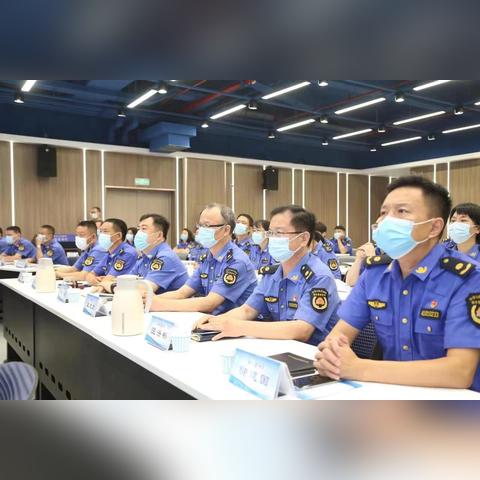 四级考试查询，紧张与期待交织的特殊时刻