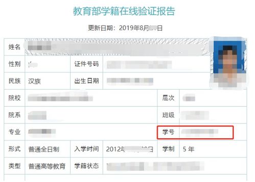 学信网学籍查询，教育信息之门的关键钥匙