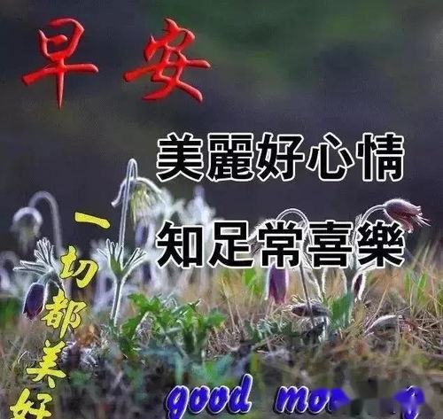 情路漫漫，且行且珍惜