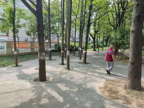 仁济医院东院，守护健康的坚实堡垒