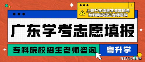 广东招生考试院，教育公平的坚定守护者与升学之路的卓越引航者