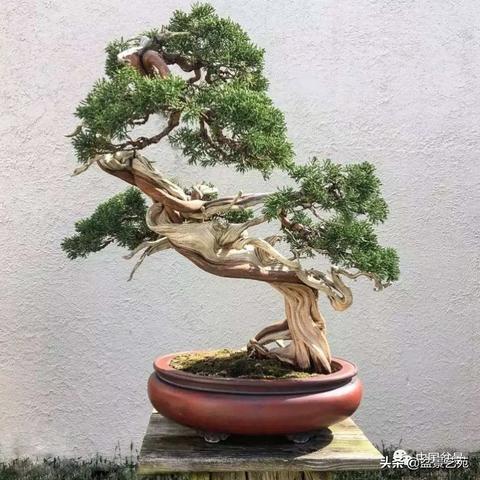 北方秋雨的绵长情韵