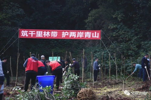 重庆山火救援志愿者植树造林，绿色归来回馈自然