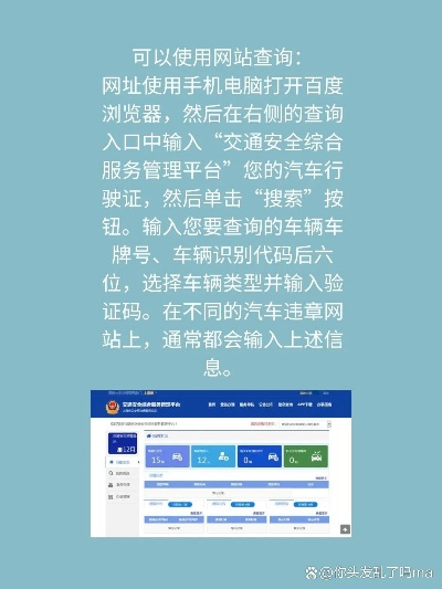 驾驶证查询，安全与便捷的关键保障