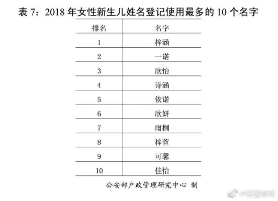 全国重名查询系统官网，开启姓名奥秘探索之旅