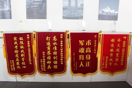 现代锦旗卷现象深度探究