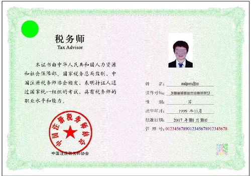 职业资格证书查询，权益保障与发展促进的关键路径