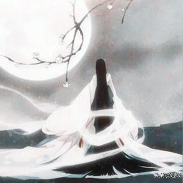 北凉王妃裴南苇的传奇一生