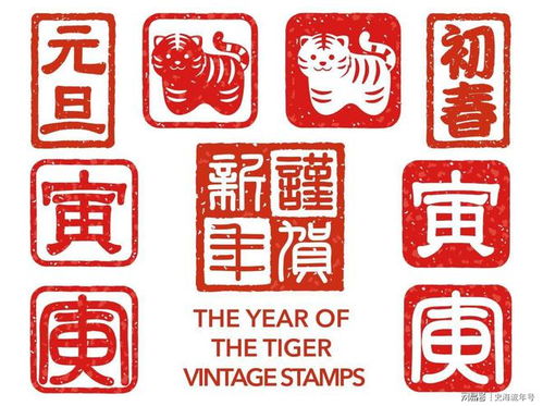中华字典，文化传承的璀璨瑰宝