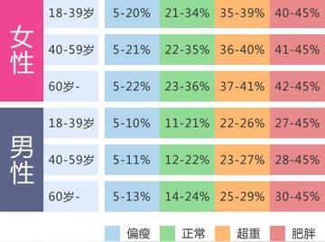 肥胖指数，守护健康的关键衡量准则