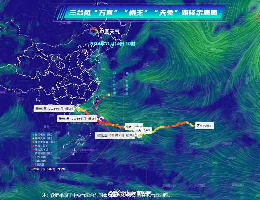 中央气象台风网，海洋与生命的守护信息中枢