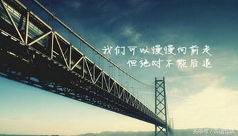 鹤洞大桥灯光异常绿色背后的回应