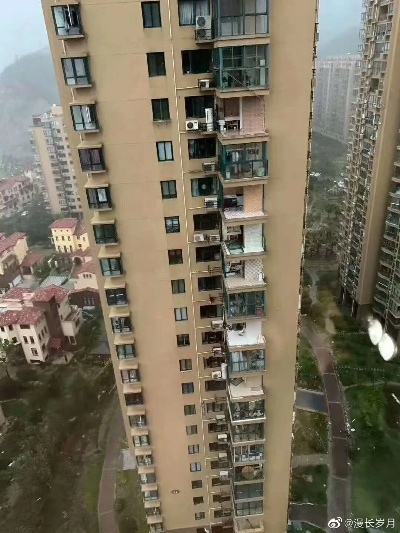 浙江居民楼惊现空心菜瀑布奇观