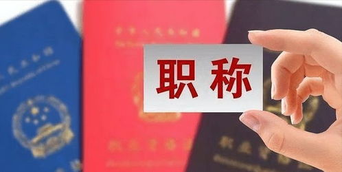 农民评职称，农业现代化与农村人才发展的新路径探索