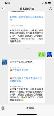 全国重名查询，开启探索同名同姓奇妙世界之旅