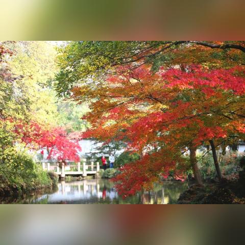 2025年10月13日 第15页