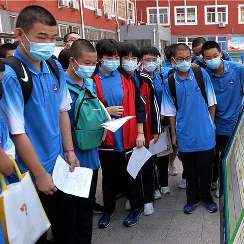 河北省教育考试院网站，教育信息的关键枢纽