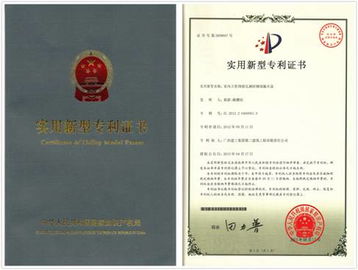 国家专利网站，创新与知识产权的联接桥梁