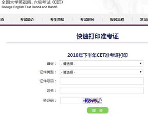 英语四级查询成绩入口，开启成绩揭晓之旅