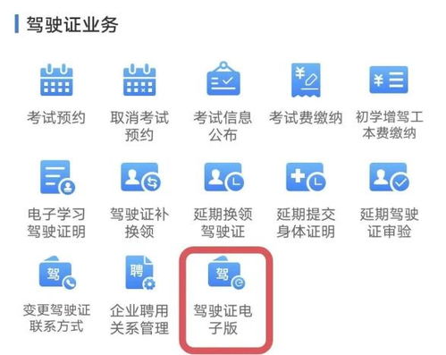 交管12123官网，提供便捷服务，为出行保驾护航
