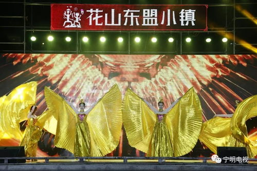 璀璨之夜，2019元宵晚会精彩节目一览