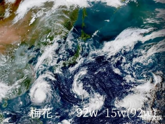 梅花四世，台风中的独特篇章