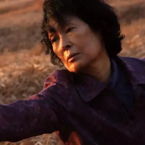 戛纳电影节获奖影片，光影艺术与魅力的极致呈现