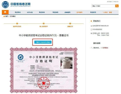 普通话成绩查询，踏上语言能力新征程
