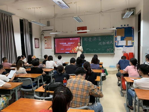 青海教育考试网，青海学子梦想起航的关键平台