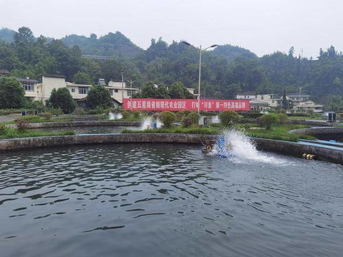 大国金融十四五答卷概览