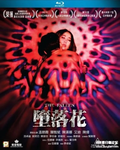 堕落花，生命的凋零与重生之旅
