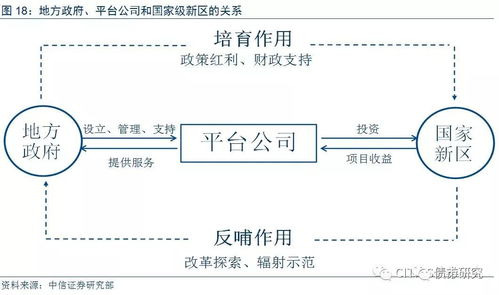 莆田杀人事件深度探究，背后的原因与影响分析