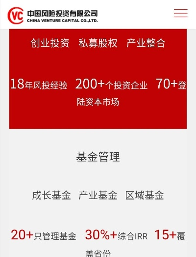 300114股票，潜力与风险并存的投资之选