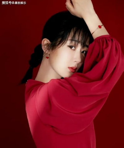 杨紫坚定维权，对网络侵权案申请强制执行，捍卫权益，维护正义之路