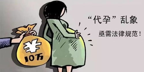 代孕费用，伦理与现实困境的深度剖析