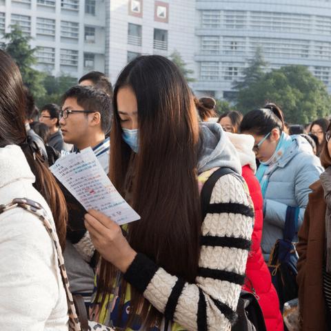 河南教育考试院官网，教育信息的重要窗口与服务平台