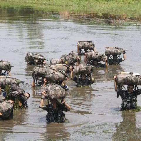 特种兵之荣耀与使命，热血征程与责任担当