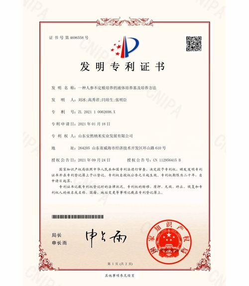 国家专利查询网站，专利信息的快速便捷通道