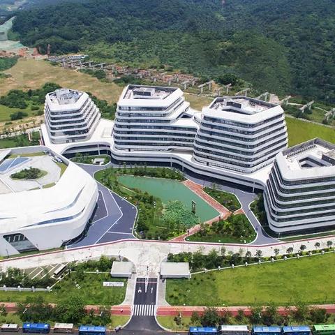国家专利局网站，创新与知识产权的联接桥梁