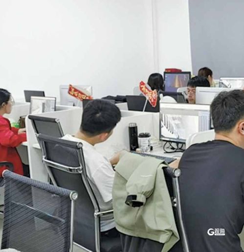 农村就业新机遇与挑战解析