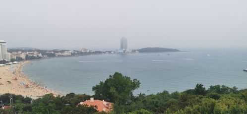 洱海网红歪脖子树遭人为破坏，引发社会广泛关注