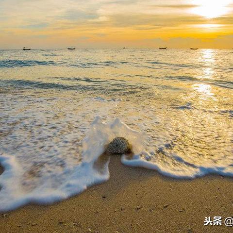 半年出海七次却空手而归，揭秘背后的神秘大案