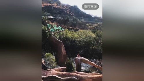 设计师回应人体蜈蚣雕塑争议，深度解读艺术创作的挑战与争议