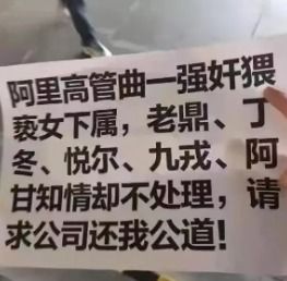 女子事故后自称国企员工身份，警方通报事件最新进展